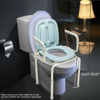 handicap toilet chair