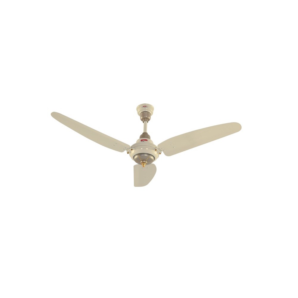 Royal 3 Star Enercon Ceiling Fan – Royal Fans