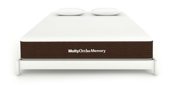 MoltyOrtho Memory single 78" x 42"x6"