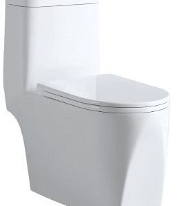 Boravit BT-007 One Piece Toilet